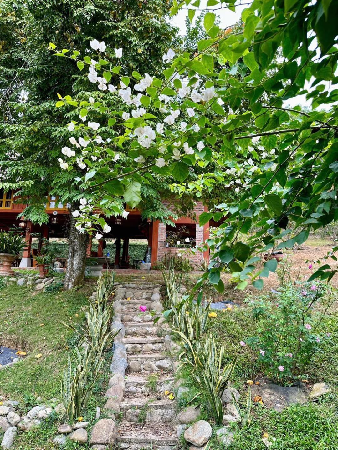Pai Bjooc Homestay Tuyen Quang Buitenkant foto
