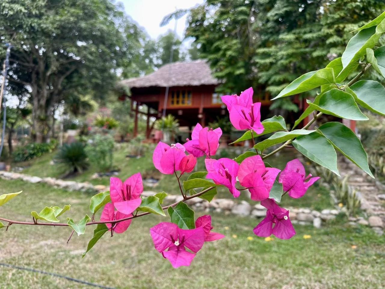Pai Bjooc Homestay Tuyen Quang Buitenkant foto